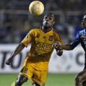 (VIDEO) Tigres clasificó a semifinales, eliminando a Emelec