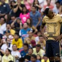 (TUITS) Tres ecuatorianos jugarán las semis de la Liga MX y uno la final del Ascenso
