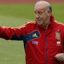 Vicente del Bosque con posibilidades de abandonar a la selección española