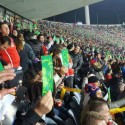 36 mil tarjetas verdes se levantarán en el partido de Ecuador ante Chile