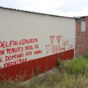 (FOTO) Delfín denuncia vandalismo en su complejo